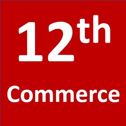 Score 95% in Class 12 Commerce