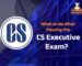 What to do After Passing the CS Executive Exam?