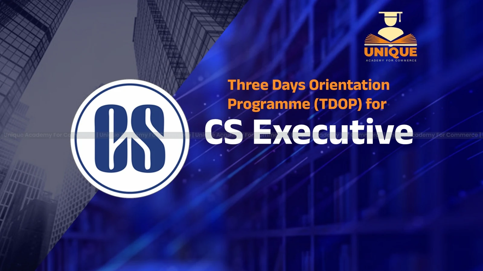 TDOP CS Executive Program